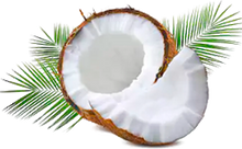 Load image into Gallery viewer, BODY SCRUB COCONUT 250g
